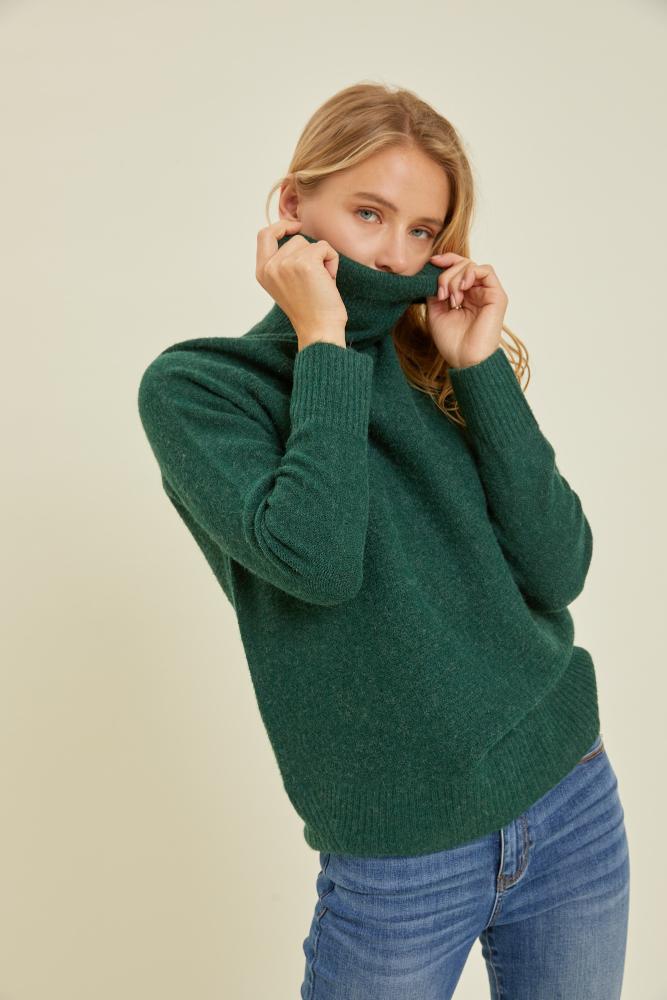 The Kaitlyn Turtleneck Sweater: HUNTER