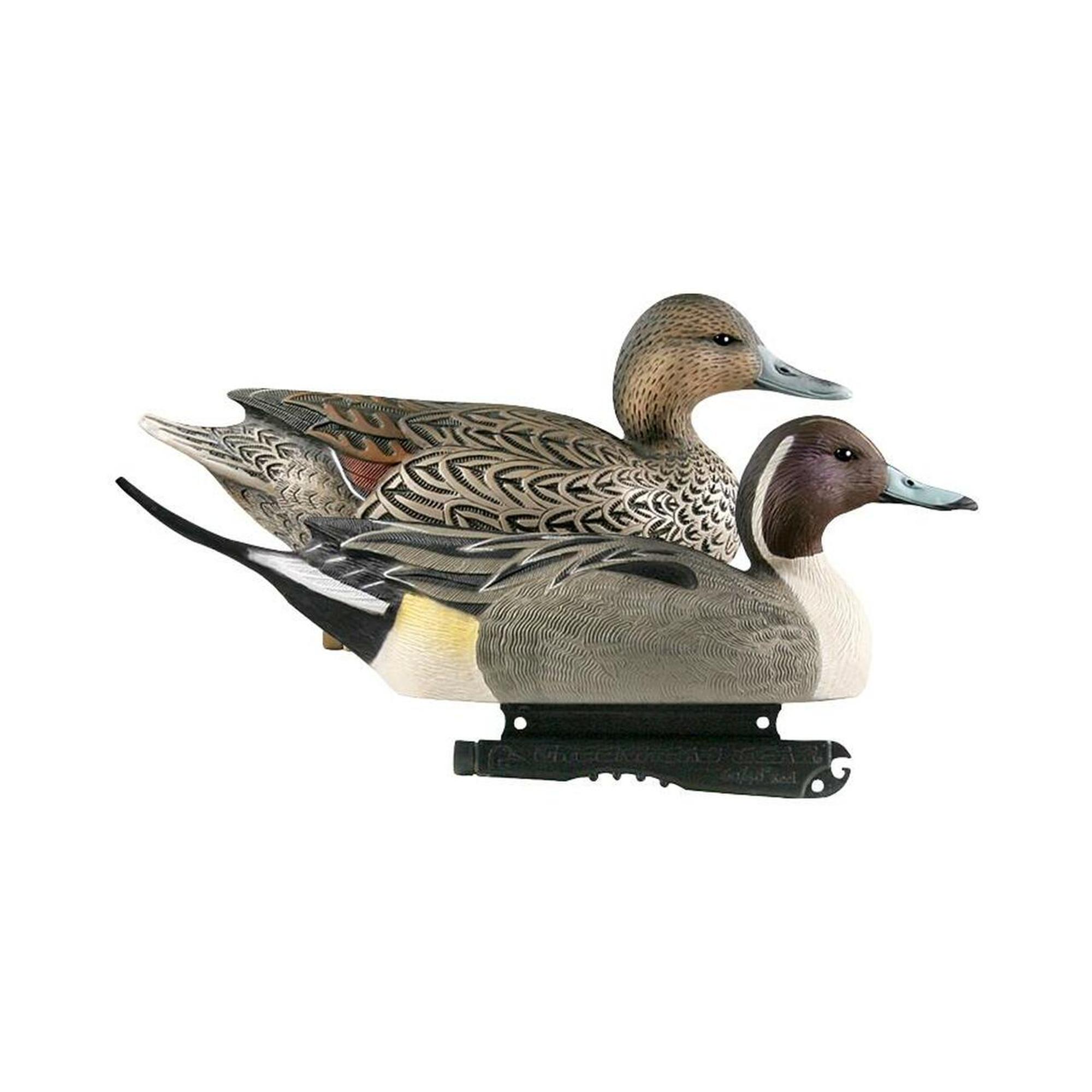 Life Size Pintail Floater Duck Decoys - 6 Pack
