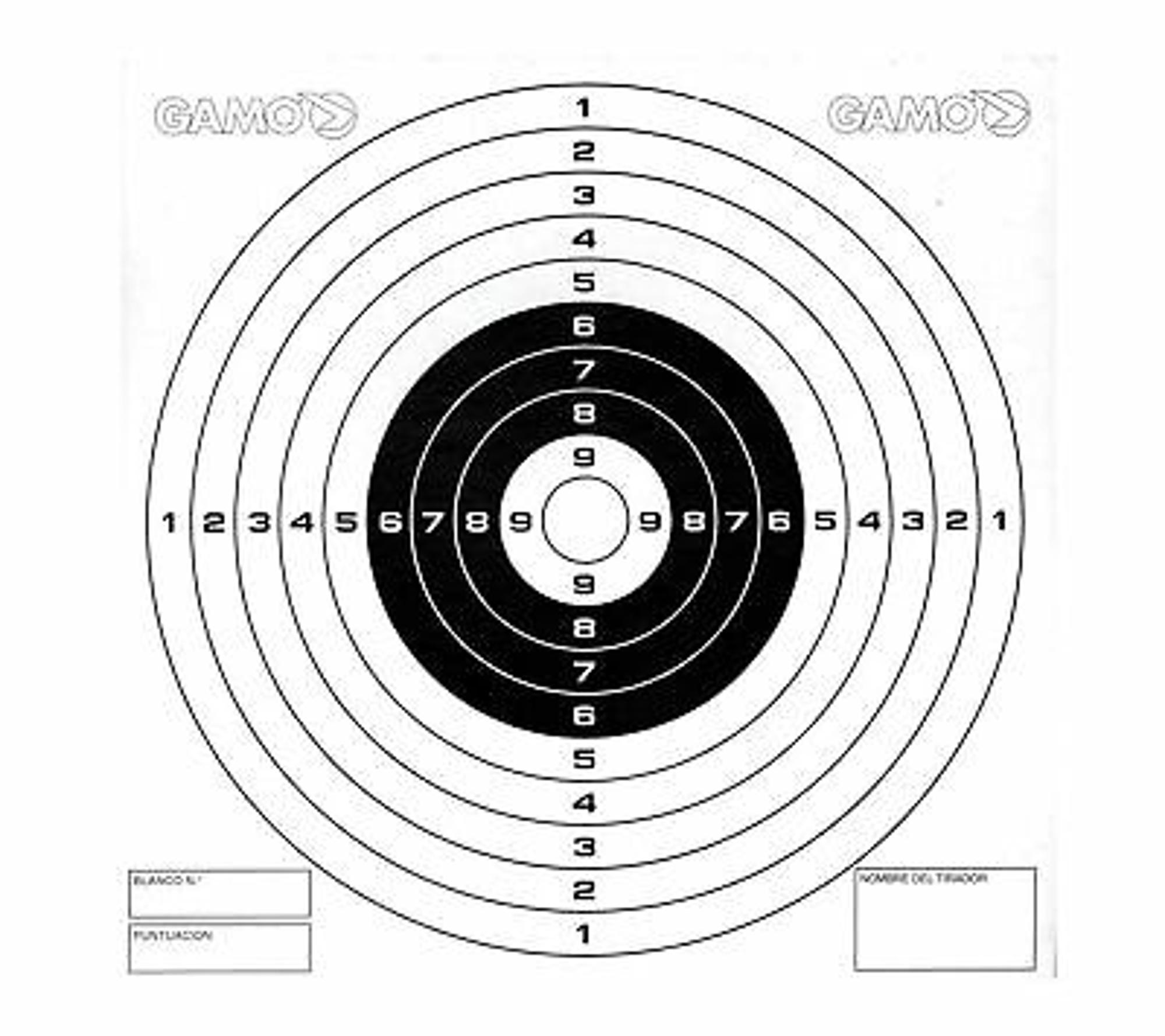 100 Pack Paper Shooting Targets
