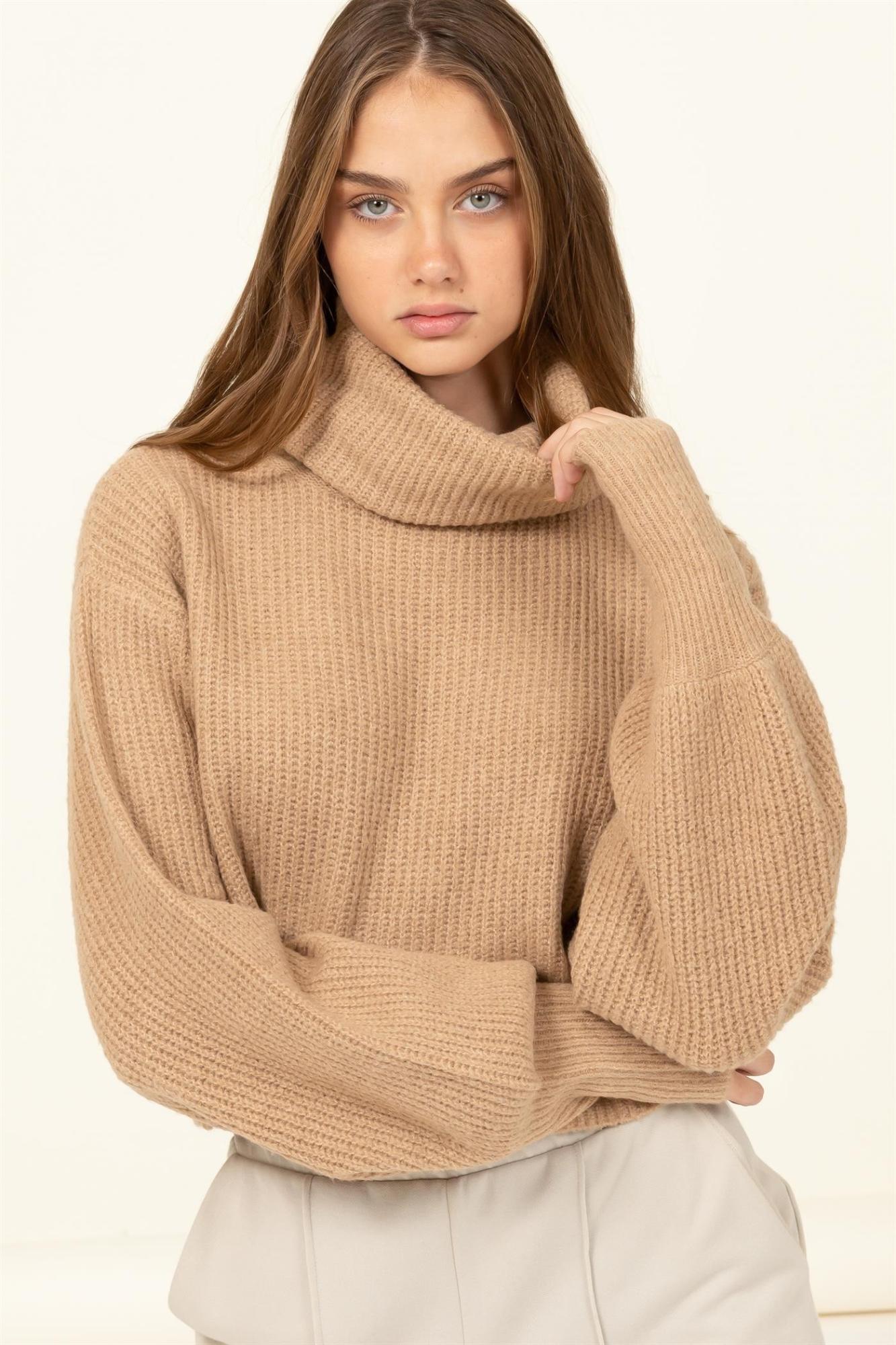 Main One Cropped Turtle Neck Sweater